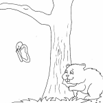 Imagens de castores 3
