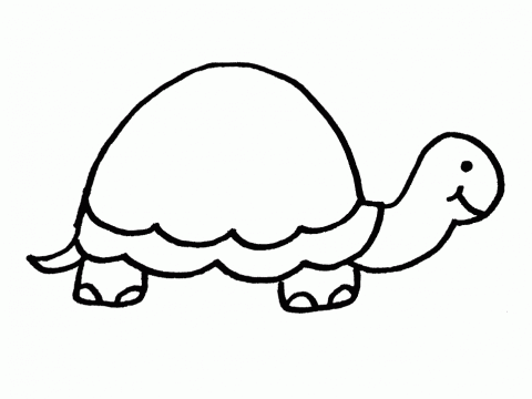 Imagens de tartarugas para imprimir e colorir - 3