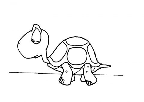 Imagens de tartarugas para imprimir e colorir - 30