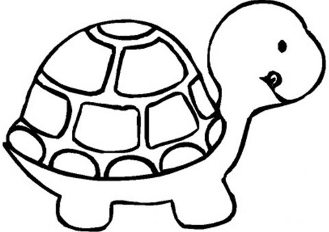 Imagens de tartarugas para imprimir e colorir - 9