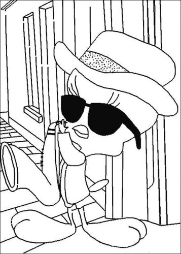 Desenhos do piu piu para colorir