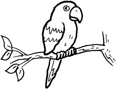 Imagens de papagaios e araras para imprimir e colorir