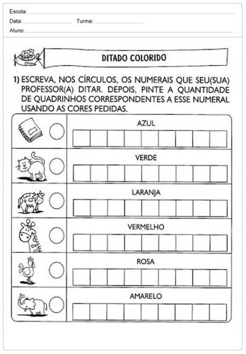 Actividades de matemática para o 1º ciclo