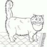 Imagens de gatos para imprimir e colorir