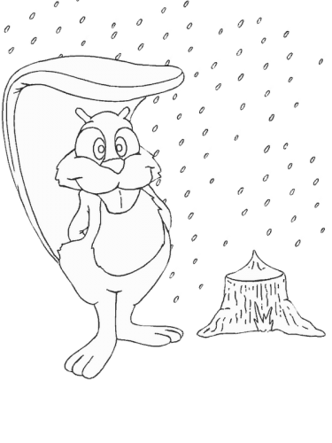 Imagens de castores 1