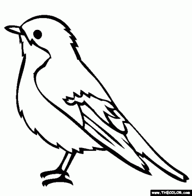 Imagens de aves e pássaros para imprimir e colorir