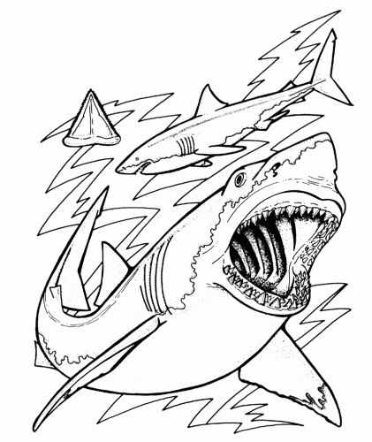 Imagens de tubarões para imprimir e colorir