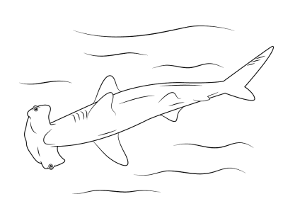 Imagens de tubarões para imprimir e colorir
