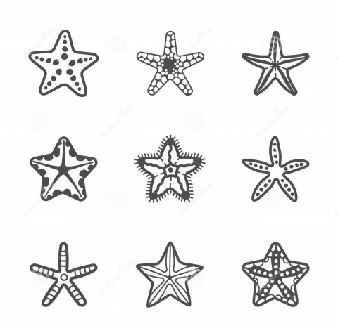 Estrelas Do Mar Para Baixar Imprimir E Colorir Educa O Online