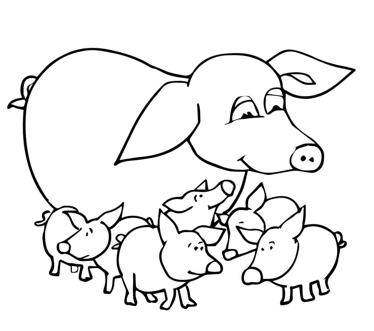 Desenhos de porcos para imprimir e colorir